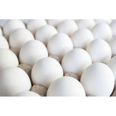 Packed With Essential Nutrients Fresh White Eggs, Perfect To Improve Cognitive Function And Overall Health Egg Origin: Chicken