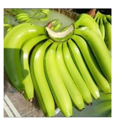 100% Organic And Fresh Green Banana Vegetable For Cooking, Good For Health Shelf Life: 1 Week