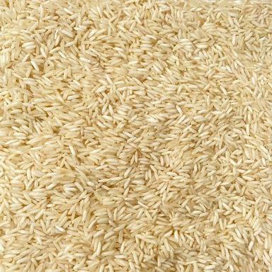 Organic Grade 1509 White Sella Basmati Rice With High Nutriritious Value Crop Year: 9 Months
