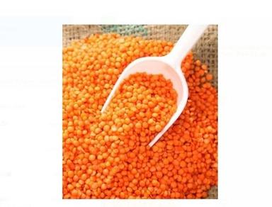Pure Organic Split Orange Masoor Dal With High Nutritious Value Admixture (%): 2%
