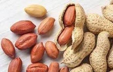 Common 100% Pure Organic Dried Peanuts 