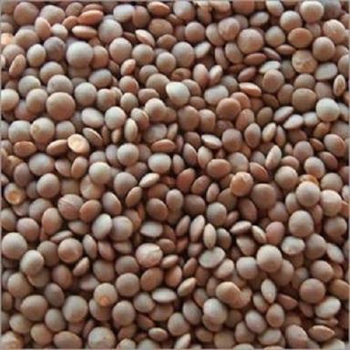 100% Organic Dried Masoor Dal, Easy To Cook, Rich In Protein, Natural Taste Admixture (%): 0.2%