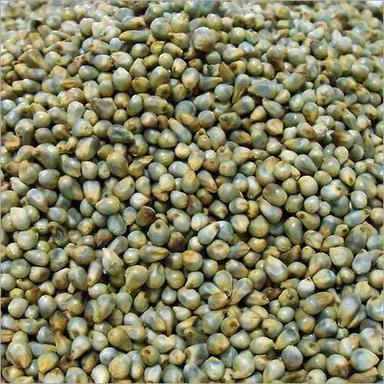 Healthy Natural Fine Taste Rich Fiber Dried Organic Green Pearl Millet Crop Year: 6 Months