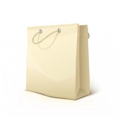 Disposable Easy To Carry Durable Biodegradable Golden Poly Coated Paper Bags Max Load: 1  Kilograms (Kg)