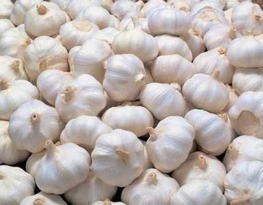 Seasoned Organic Fresh Round White Garlic Without Pesticides Or Chemicals And Health Benefits