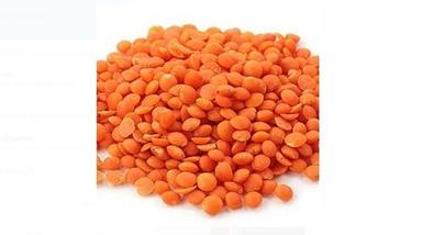 Pure Organic Fresh Orange Masoor Dal With High Nutritious Value Admixture (%): 2%