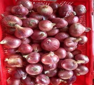 Highly Nutritious With Vitamins Natural Healthy Red Fresh Onion Moisture (%): Soft