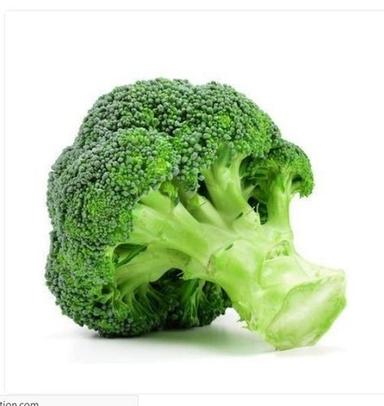 Wholesale Price 100% Organic Farm Fresh Green Broccoli For Vegetable