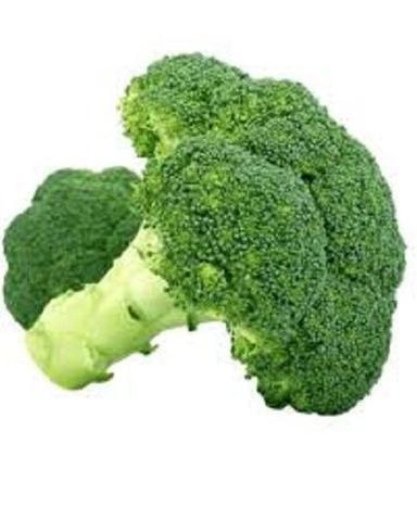 Rich Natural Taste Chemical Free Healthy To Eat Green Fresh Broccoli Moisture (%): 82.87%