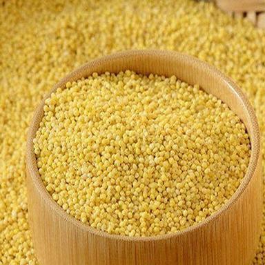 100% Pure Fresh Gluten-Free Nutrient Enriched Yellow Organic Foxtail Millet Size: Small