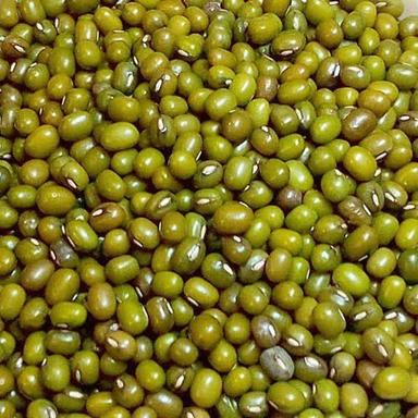 Rich Taste Gluten Free Healthy And Nutritious Rich In Vitamins Green Moong Pulses Admixture (%): 1%