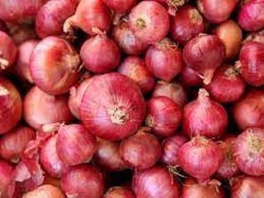 Excellent Antioxidant Organic Fresh Red Onion With Regulate Blood Sugar Levels Moisture (%): 17%