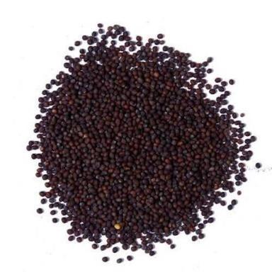 Organic Highly Nutritious And Minerals, Good For Skin Black Mustard Seeds, 50 Kg 