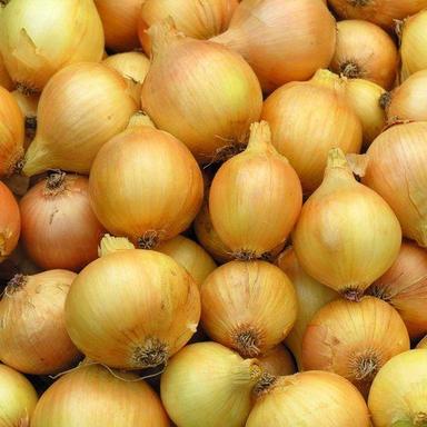 Round 100% Pure Natural Dry Yellow Onion With 1 Week Shelf Life And Rich In Health Benefits