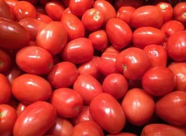 Round Naturally Grown, Handpicked, Graded And Sorted A Grade Organic Farm Fresh Red Tomato