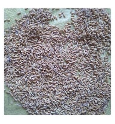 100% Organic And Fresh Brown Paddy Whole Grain Rice For Cooking, 1 Kg Admixture (%): 1%