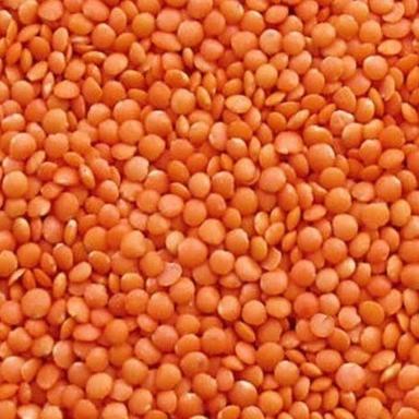 Dried And Cleaned 99% Pure Fresh And Natural Organic Red Masoor Dal Crop Year: 1 Years