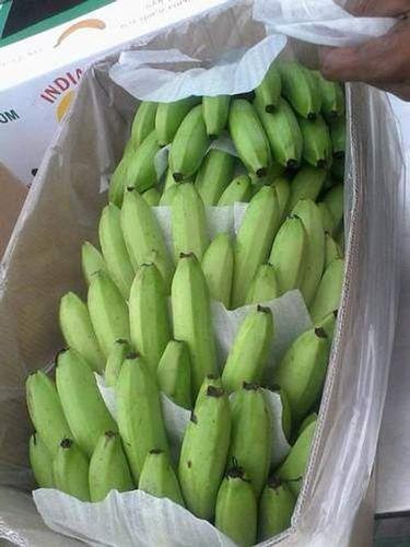 Good High Quality Original Vitamins Minerals Green Raw Banana -Xen-Snehal