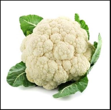 Stainless Steel Natural Organic Farm Fresh Cauliflower For Vegetables With No Preservatives