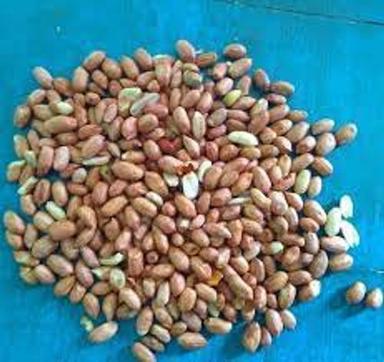 Brown Shrego Khari Sing Of Roasted Dry Peanuts