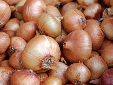 Round 100% Pure Fresh And Natural Premium Quality Fresh Onions For Cooking