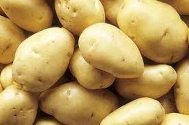 Round Rich In Quality Organically Grown Pure Fresh Potatoes