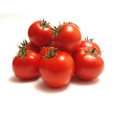 Round Rich In Vitamins And Minerals Fresh Red Tomato
