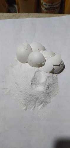White Eggshell Powder For Food Industry, Moisture Content 0.2% And Calcium 33% Age Group: Adults