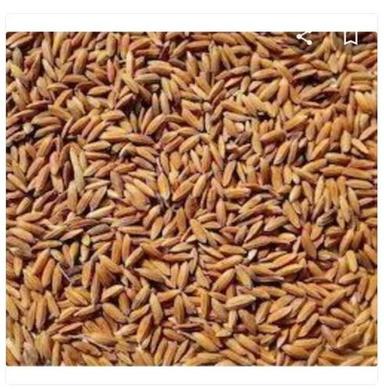 10 Kg 100% Organic And Fresh Raw Paddy Rice, Used For Starch And Rice Flour Admixture (%): 1%