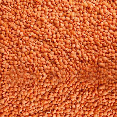 Natural 100% Pure, Dried, High In Protein, Healthy Organic Orange And Red Lentils  Crop Year: 4 Months