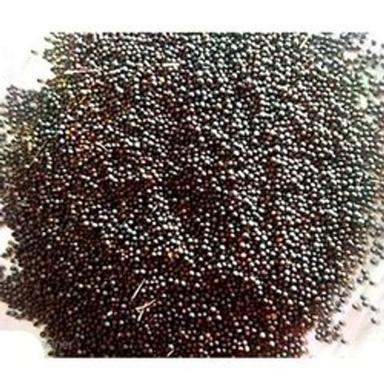 Rich In Vitamins E B And C Black Mustard Seeds  Admixture (%): 3%