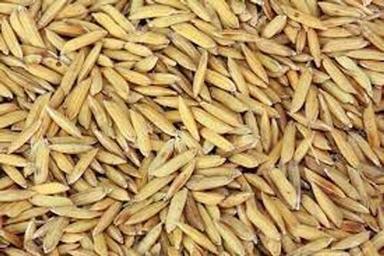 100 Percent Pure And Natural Medium Grain Organic Peddy Rice