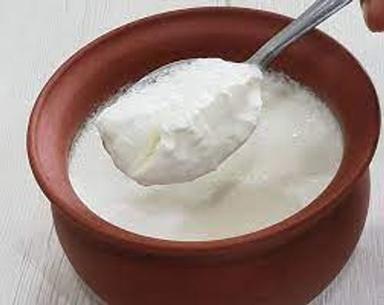 Creamy Texture Healthy And Tasty Curd /Malai Dahi  Age Group: Children