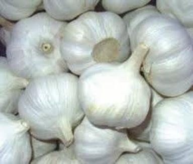 Fresh Organic Premium Quality Direct From Farm Garlic  Shelf Life: 4-5 Months