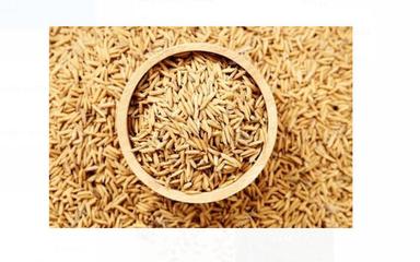 100% Pure Natural Long Grain Brown Paddy Seeds For Agriculture Use, 1Kg  Admixture (%): 10%