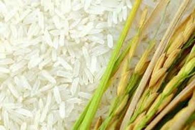 Brown 100 Percent Pure Organic Indian Origin Dried White Basmati Rice For Cooking