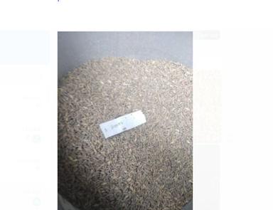 Fresh And Natural Navara Paddy Seed Used For Rice Residue As Fodder Admixture (%): 1%