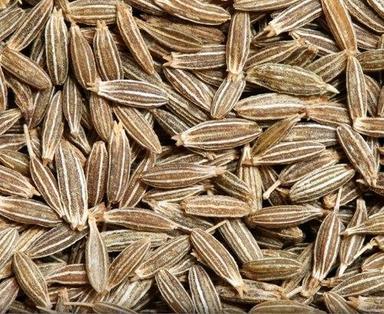 Brown Whole Right Size Cumin Seeds For Tadka
