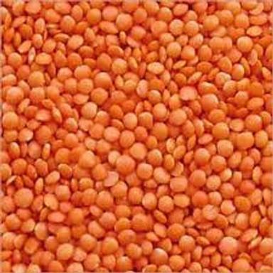 Common Naturally Abundant In Protein And Dietary Fibre Masoor Dal