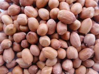 Organic High In Protein Fibre Natural Groundnut Kernels  Broken (%): 0.5 % Max