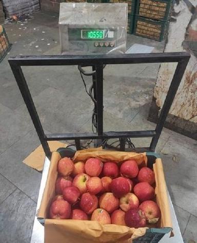 Red 100 Percent Natural Fresh And Juicy Iran Apple Best For This Summer Season