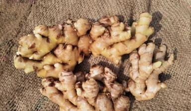 Irregular Fresh And Natural Brown Ginger With High Nutritious Value And Taste