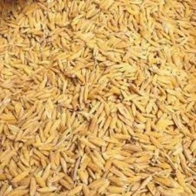 100% Organic And Natural Paddy Seed With 1 Year Shelf Life Admixture (%): 2%