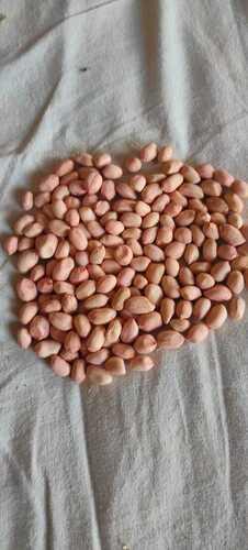 Healthy Alternative High Protein Source Organic Groundnut Dried Peanut Broken (%): 12%