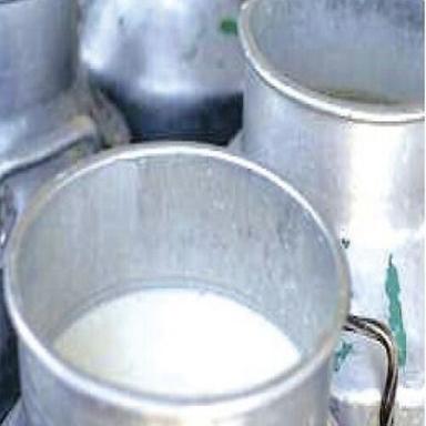 उच्च पौष्टिक मूल्यों वाला 100% शुद्ध और ताजा सादा फुल क्रीम भैंस का दूध आयु समूह: बच्चे