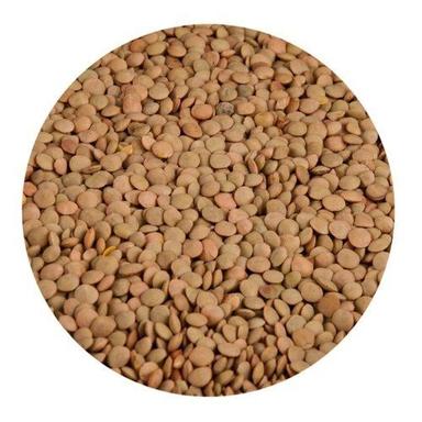 Organic Sabut Whole Masoor Dal Admixture (%): 5