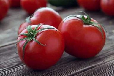 Round Red Fresh Tomato For Cooking, Skin Products And Tomato Catchup