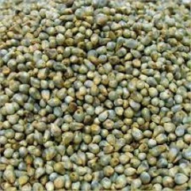 Green No Preservatives And A-Quality Store Bajra Seeds Pearl Millet With Protine For Birds