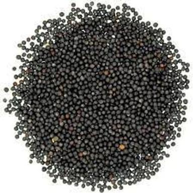 100 Percent Organic And Premium Quality Natural Black Mustard Seeds