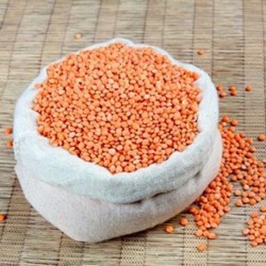 Impurity Free High In Protein And Low In Fat 100% Organic Masur Dal Unpolished (Pulses) Crop Year: 3 Years